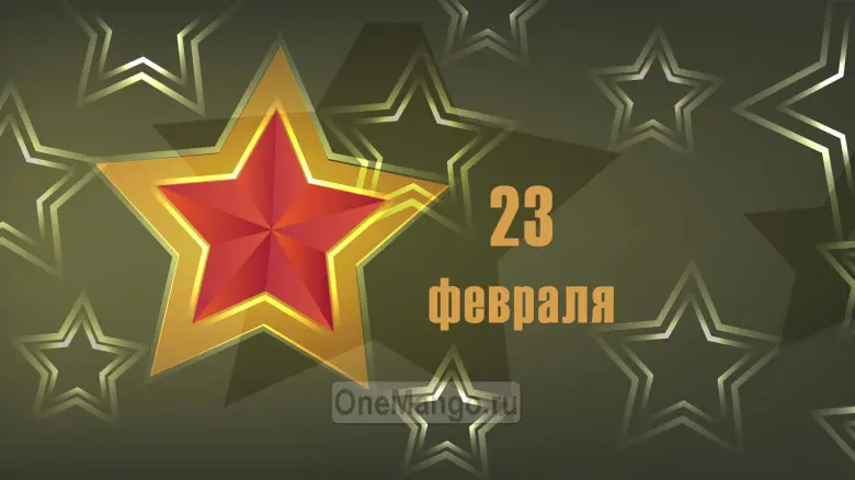 Занавес 23 февраля 008