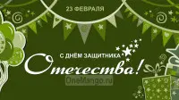 Занавес 23 февраля 011