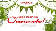 Занавес 23 февраля 013