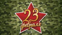 Занавес 23 февраля 022