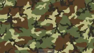 Занавес 23 февраля 032
