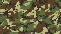 Занавес 23 февраля 032