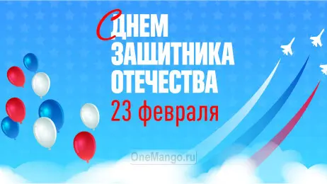 Занавес 23 февраля 033