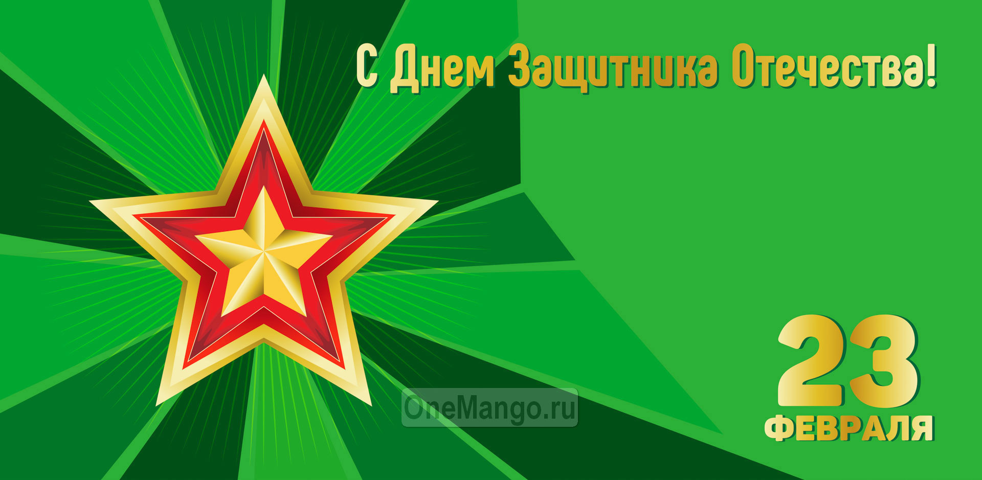 Занавес 23 февраля 034