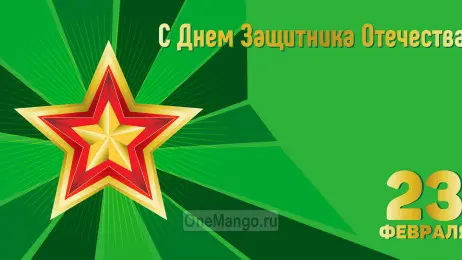 Занавес 23 февраля 034