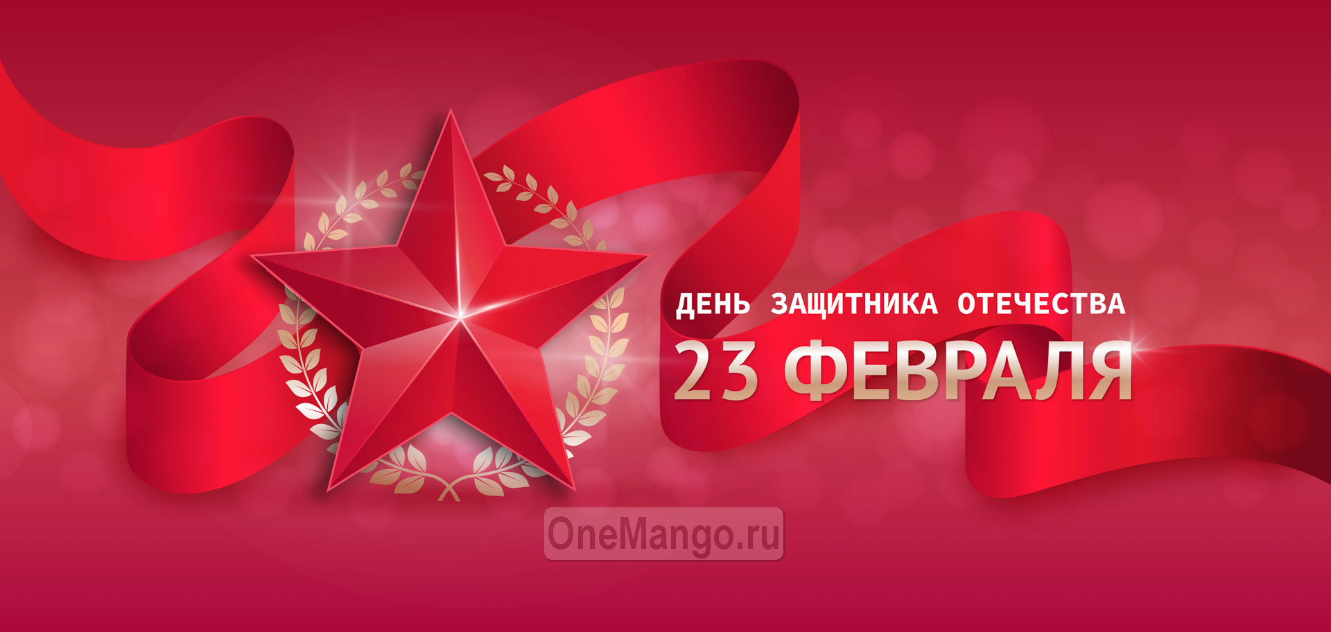 Занавес 23 февраля 038