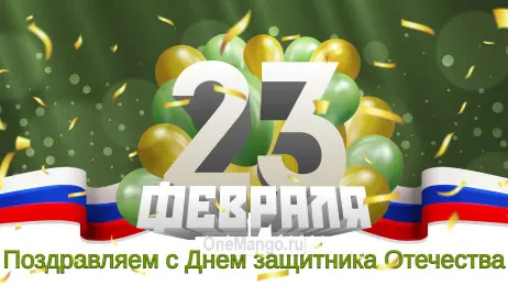 Занавес 23 февраля 039