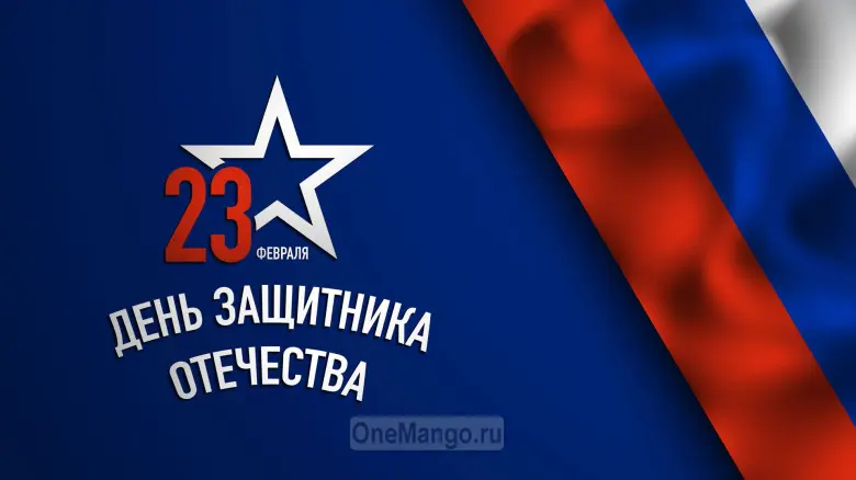 Занавес 23 февраля 048