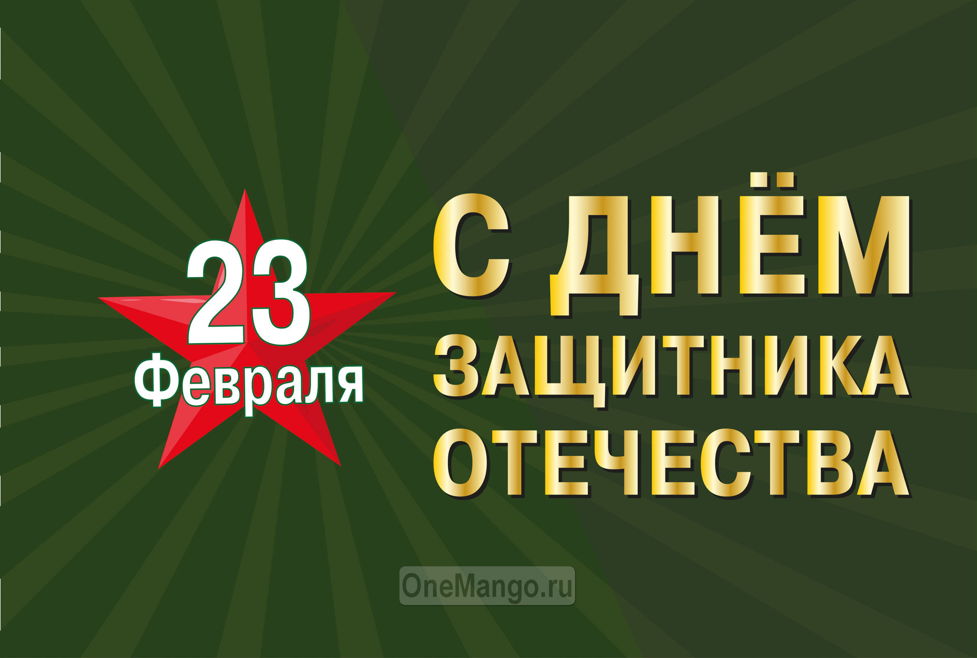 Занавес 23 февраля 049