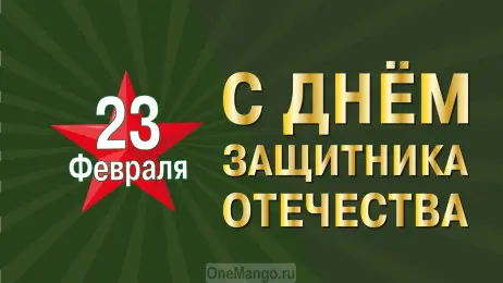 Занавес 23 февраля 049