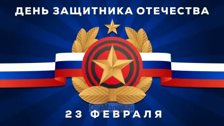 Занавес 23 февраля 059