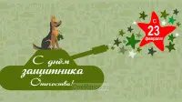 Занавес 23 февраля 061