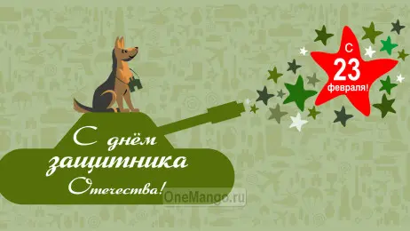 Занавес 23 февраля 061