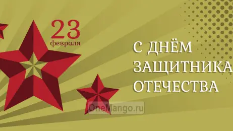 Занавес 23 февраля 062