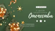 Занавес 23 февраля 066