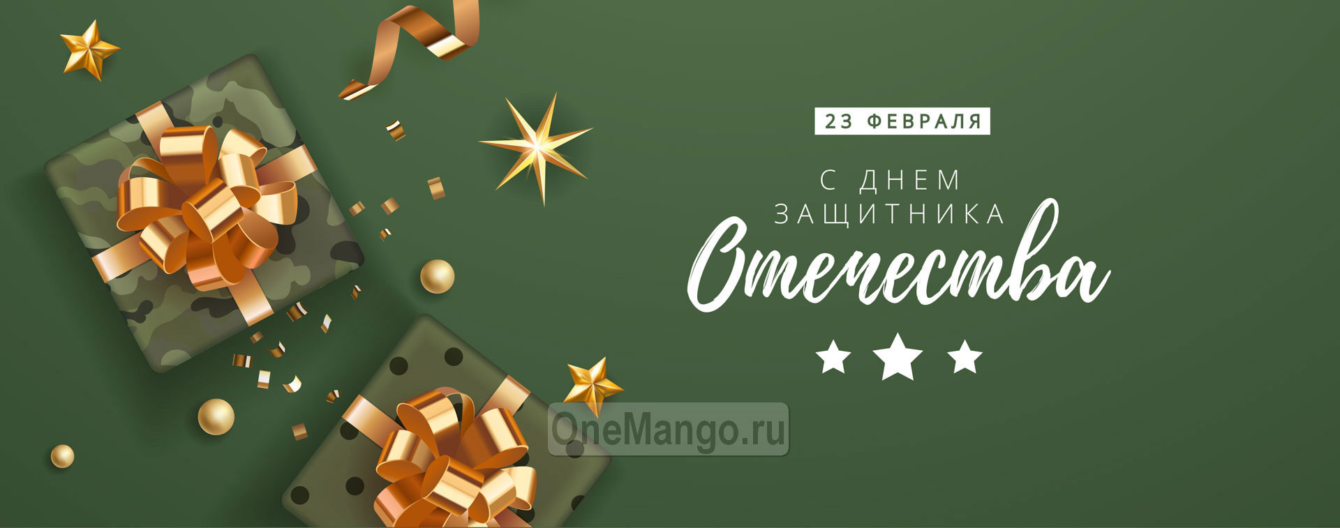 Занавес 23 февраля 066