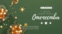 Занавес 23 февраля 066