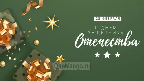 Занавес 23 февраля 066