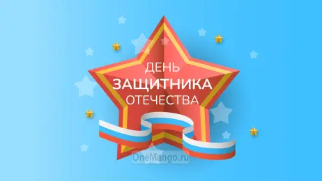 Занавес 23 февраля 071