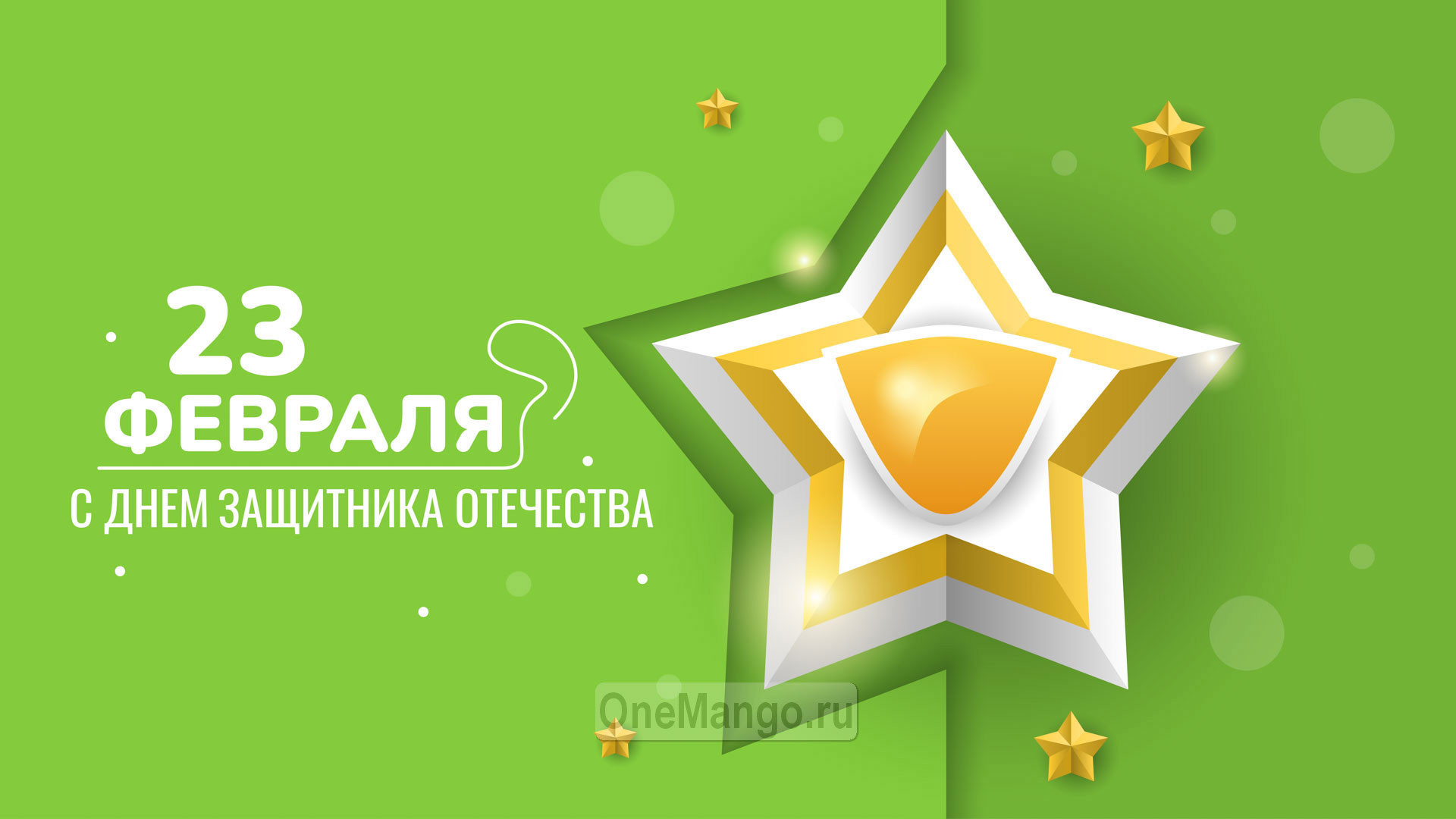 Занавес 23 февраля 076