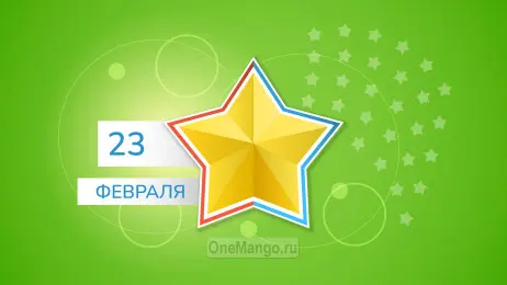 Занавес 23 февраля 078