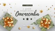 Занавес 23 февраля 097