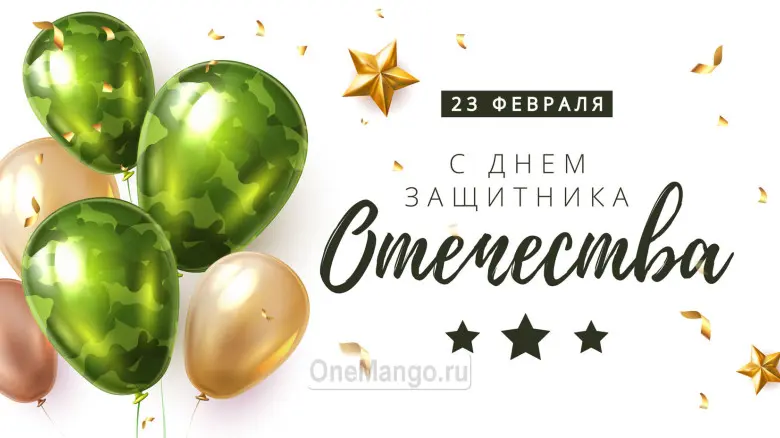 Занавес 23 февраля 098