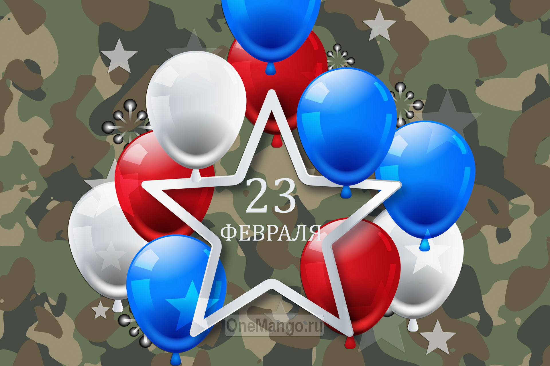 Занавес 23 февраля 102
