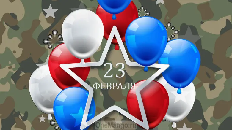 Занавес 23 февраля 102