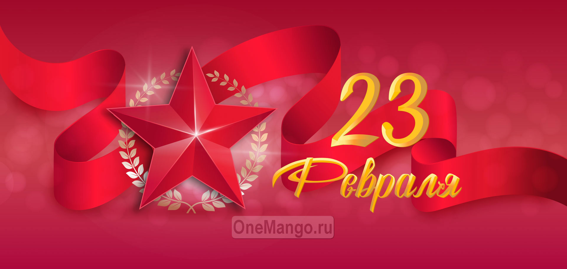 Занавес 23 февраля 113