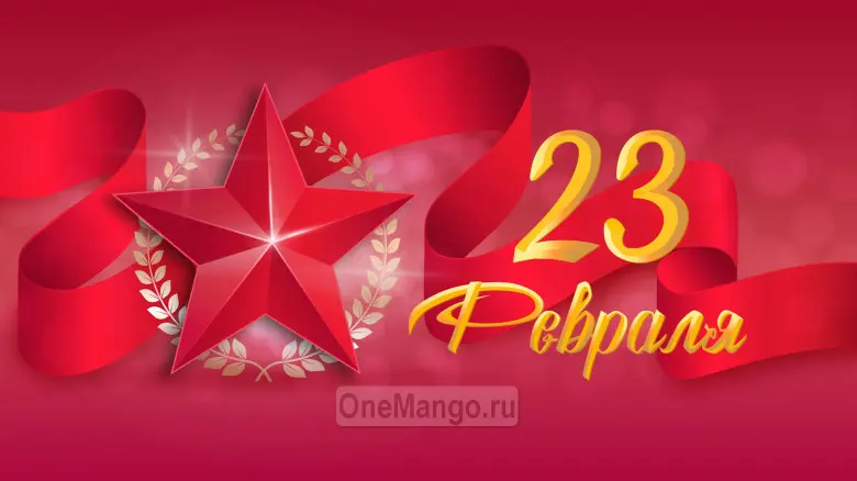 Занавес 23 февраля 113
