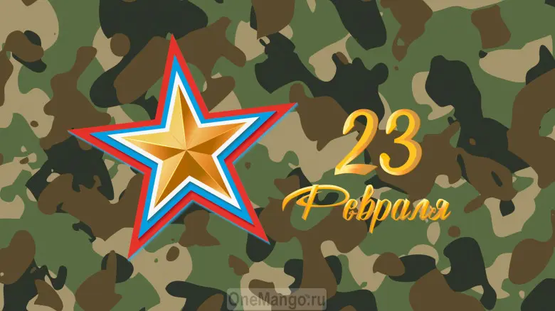 Занавес 23 февраля 114