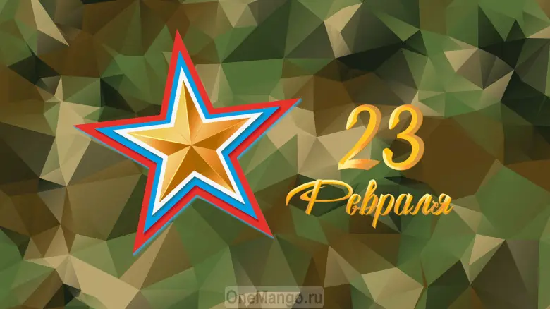 Занавес 23 февраля 115