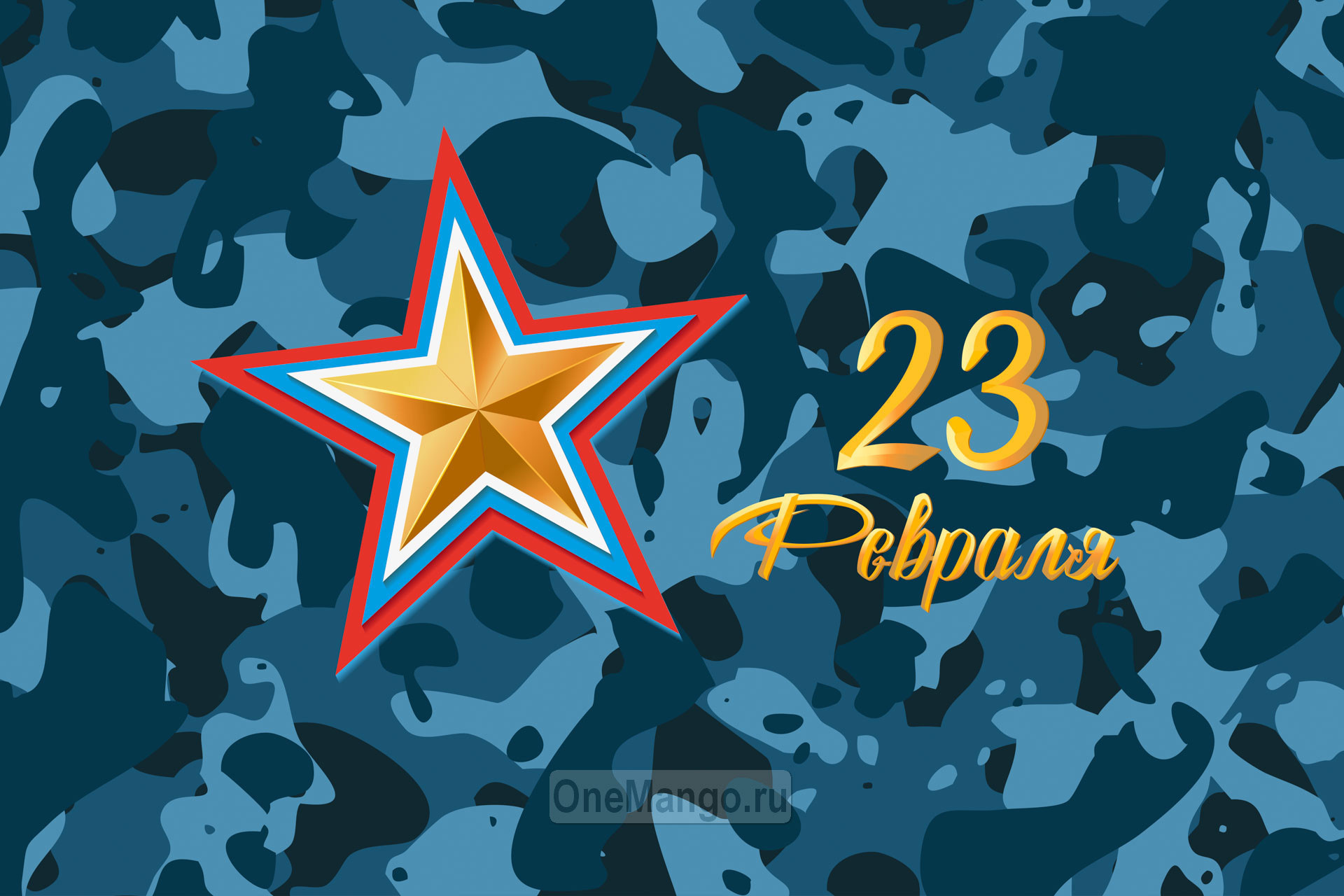 Занавес 23 февраля 116