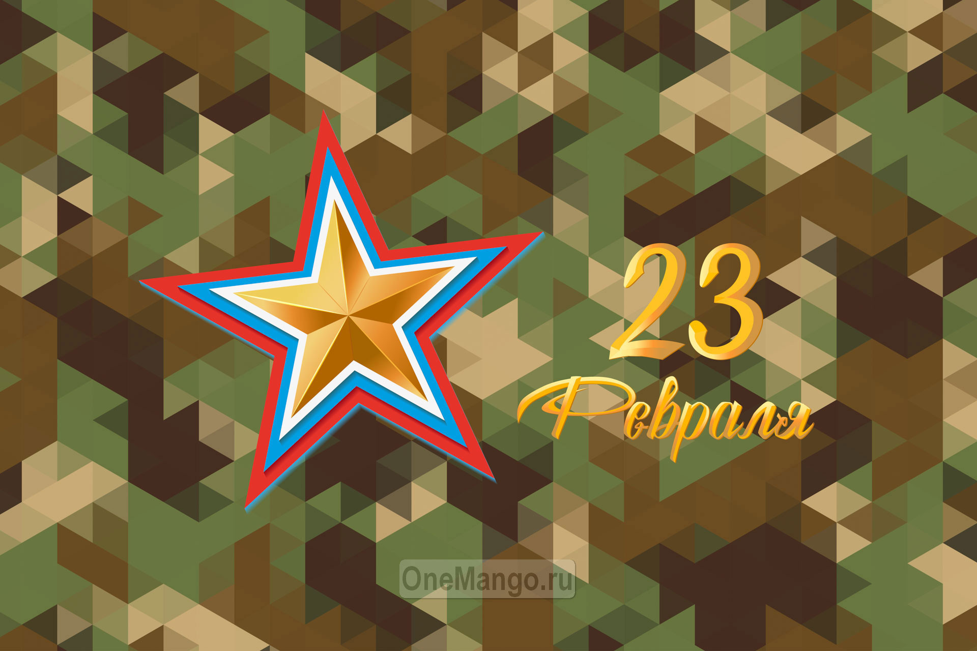 Занавес 23 февраля 117