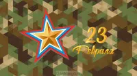 Занавес 23 февраля 117
