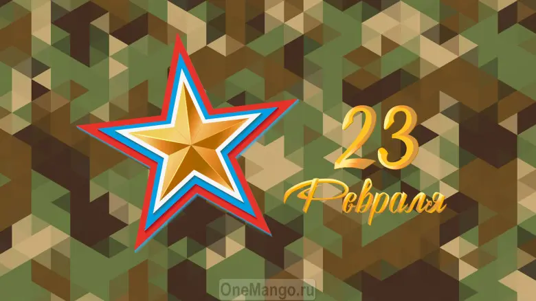 Занавес 23 февраля 117