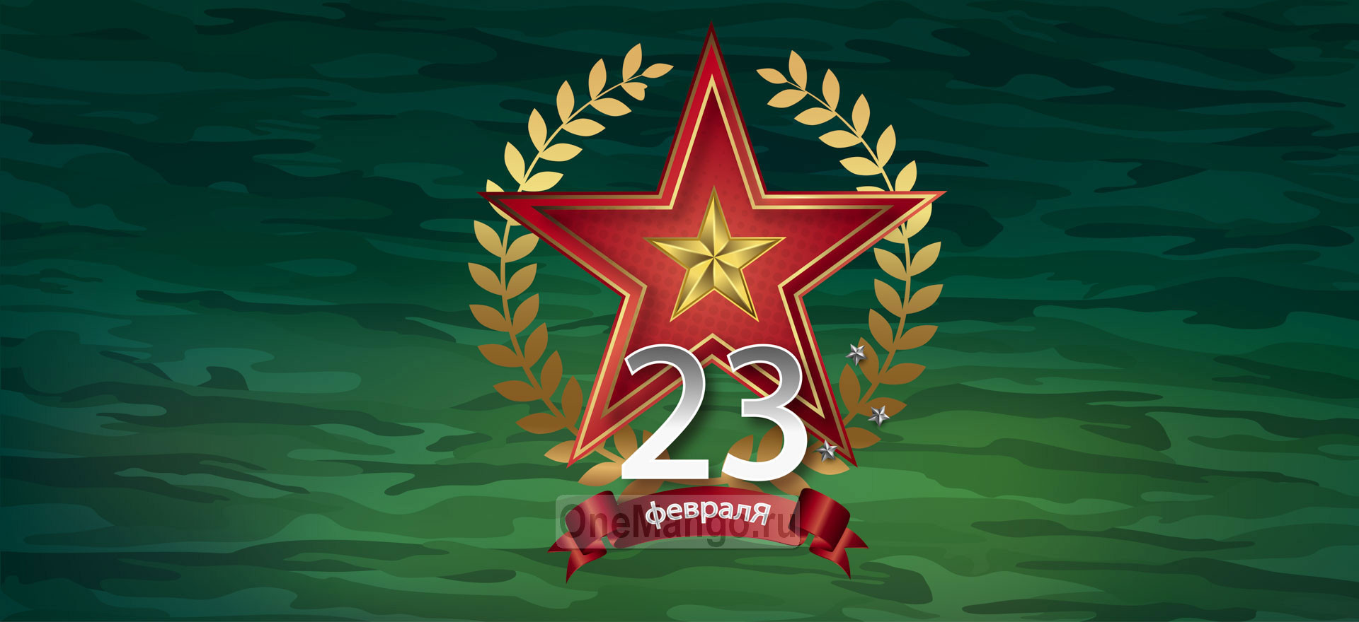 Занавес 23 февраля 119