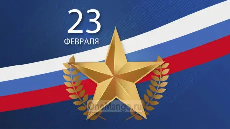 Занавес 23 февраля 124