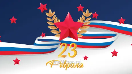 Занавес 23 февраля 125
