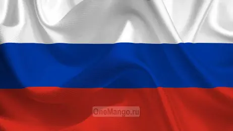 Занавес флаг России 003