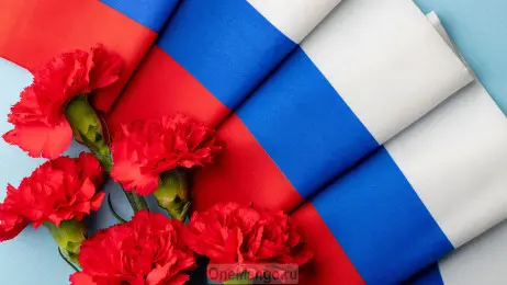 Занавес флаг России 006