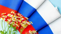 Занавес флаг России 008