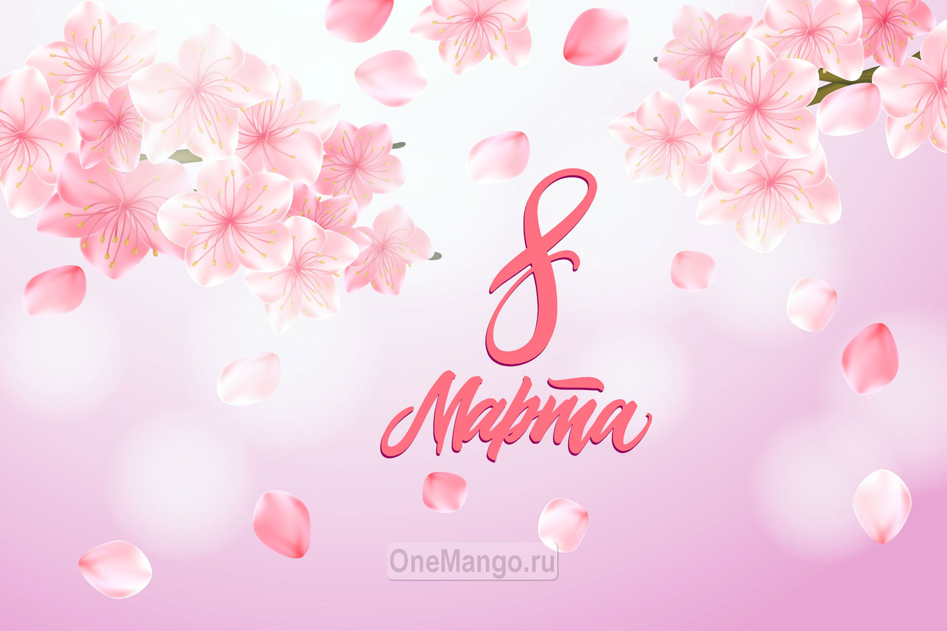 Занавес 8 марта 003