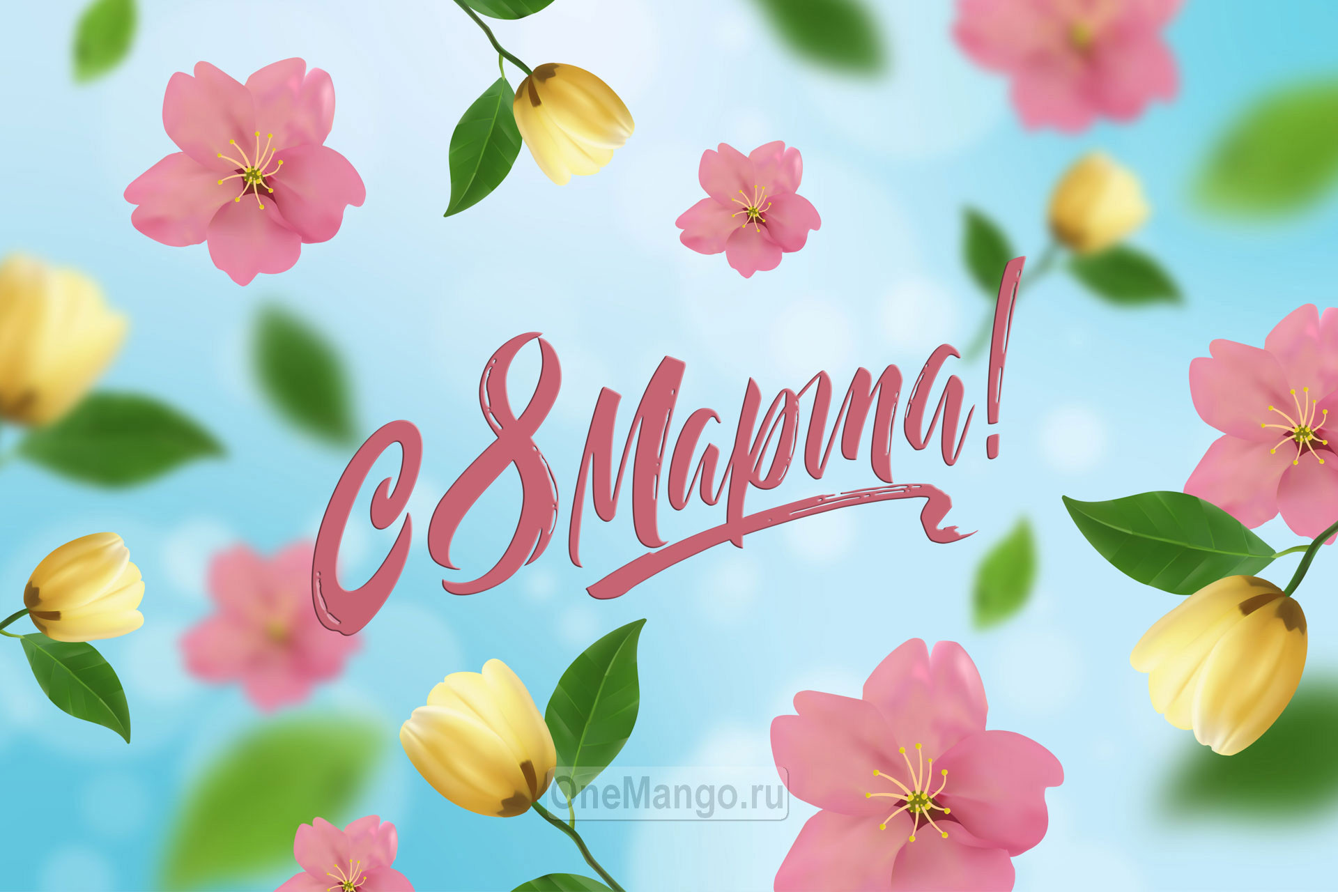 Занавес 8 марта 020