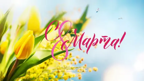 Занавес 8 марта 043