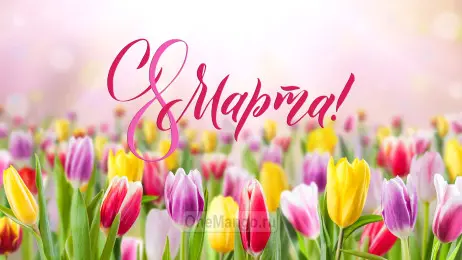 Занавес 8 марта 045
