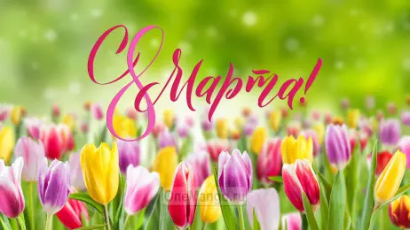 Занавес 8 марта 046