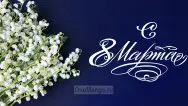Занавес 8 марта 047