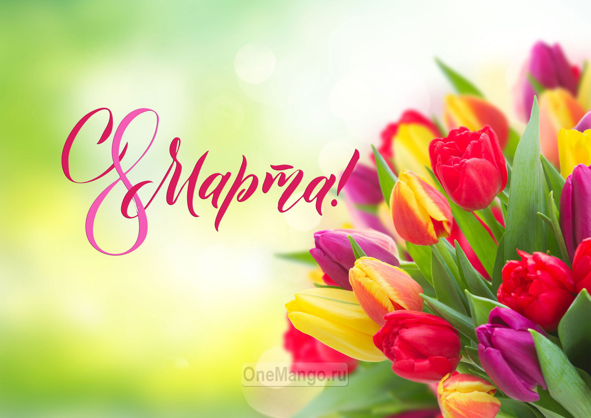 Занавес 8 марта 049
